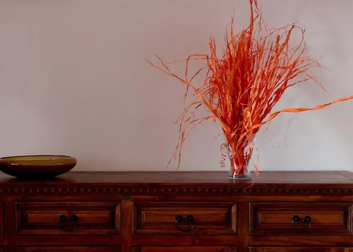 Tra Mare E Pineta Appartamento Viareggio