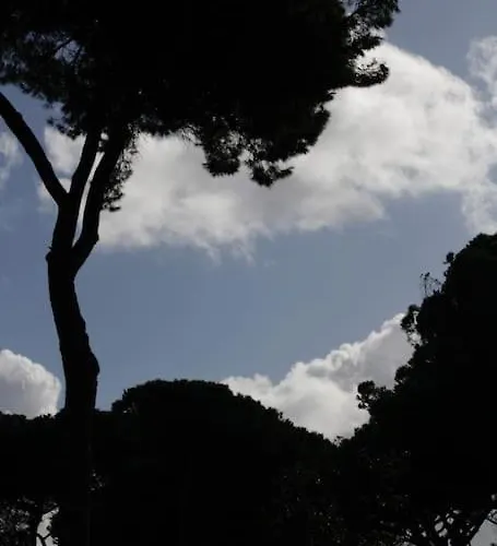 Tra Mare E Pineta Appartamento