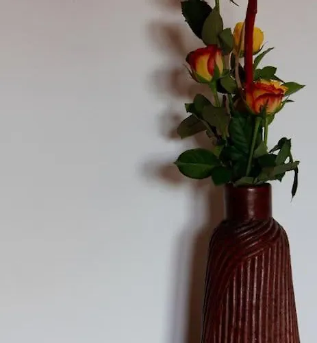 Tra Mare E Pineta Appartamento Viareggio