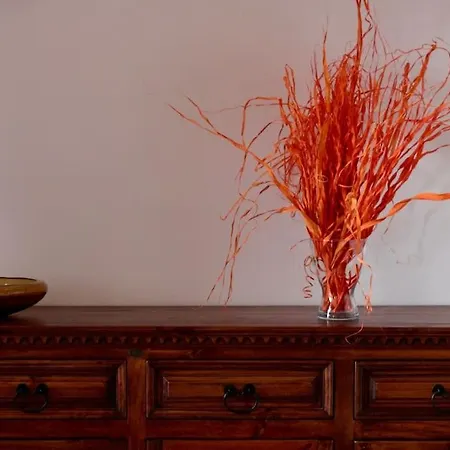 Tra Mare E Pineta Appartement Viareggio