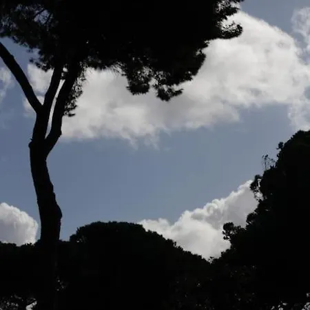 Tra Mare E Pineta Appartement