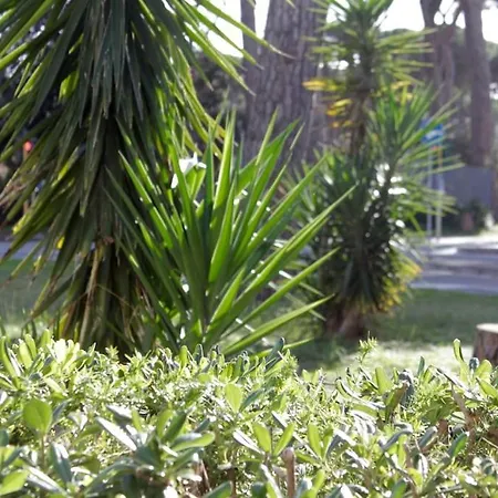 Tra Mare E Pineta Apartment