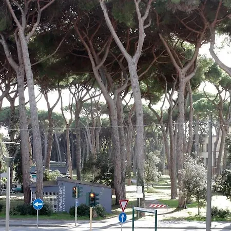 Tra Mare E Pineta *