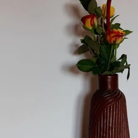 Tra Mare E Pineta Appartement Viareggio