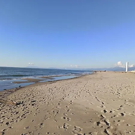 Appartamento Tra Mare E Pineta Viareggio