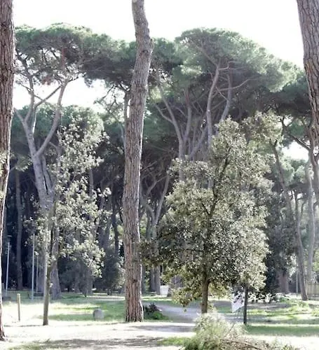 Tra Mare E Pineta Apartment *