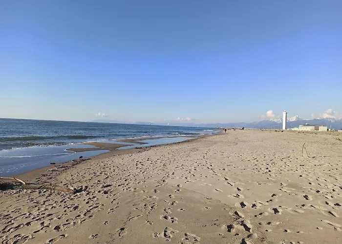 Apartment Tra Mare E Pineta Viareggio