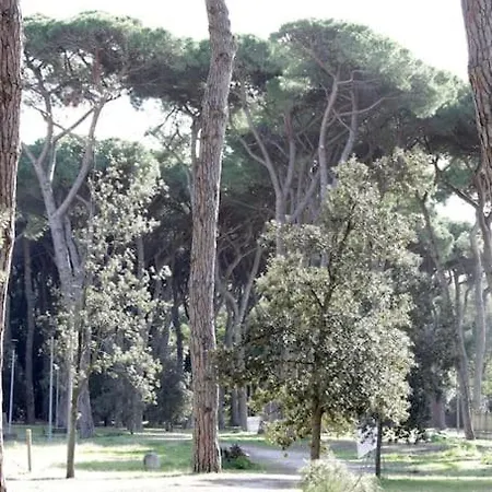 Tra Mare E Pineta Apartman *